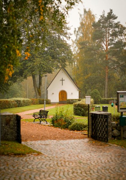 pexels-damir-18678129